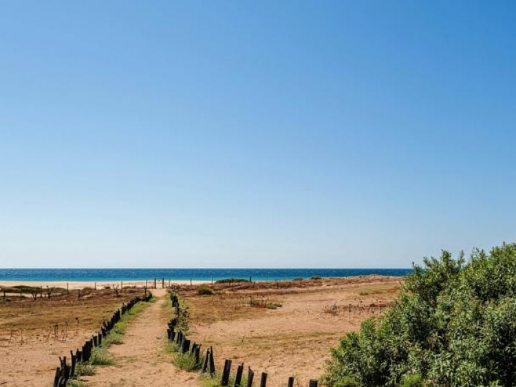 Boda en la Playa del Palmar-Bodas en la playa (3)