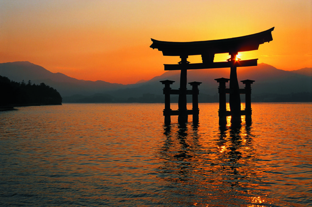 Kikoy Tours