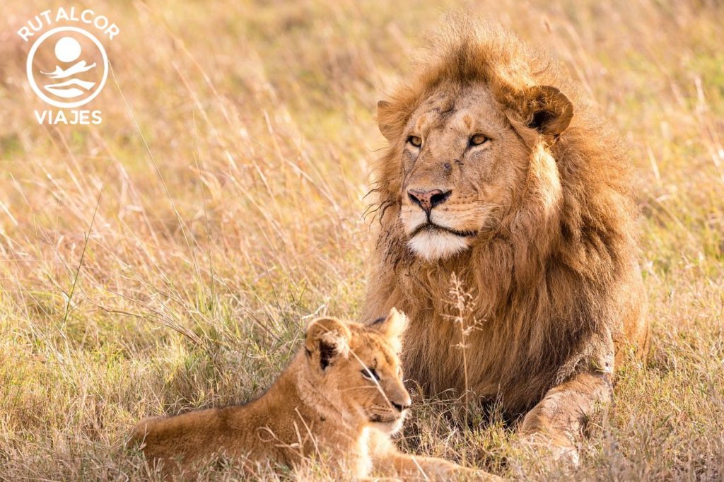 africa-viajes rutalcor