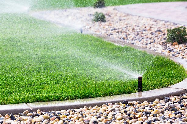 jardinería en Boadilla del Monte Pozuelo Villaviciosa (4)