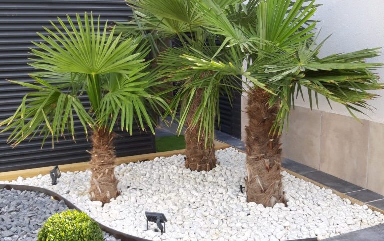 jardinería en Boadilla del Monte Pozuelo Villaviciosa (6)