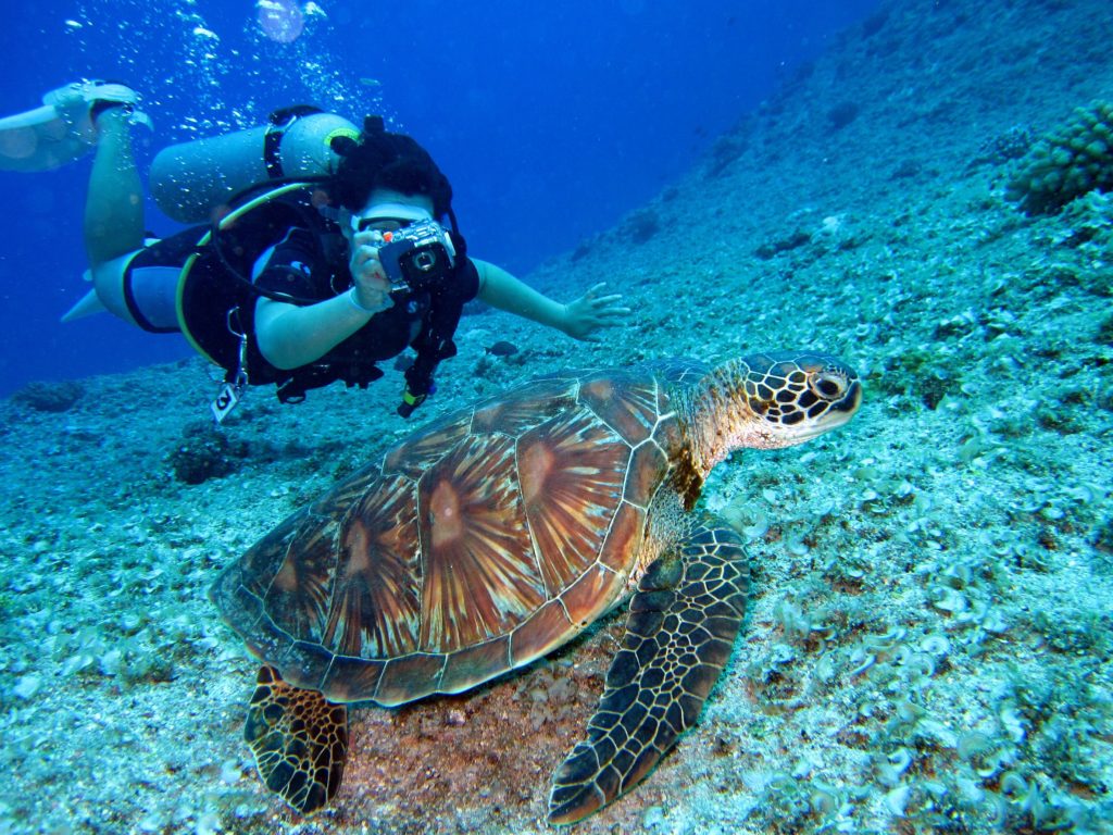 Buceo Ecuador_PlanesConDuende