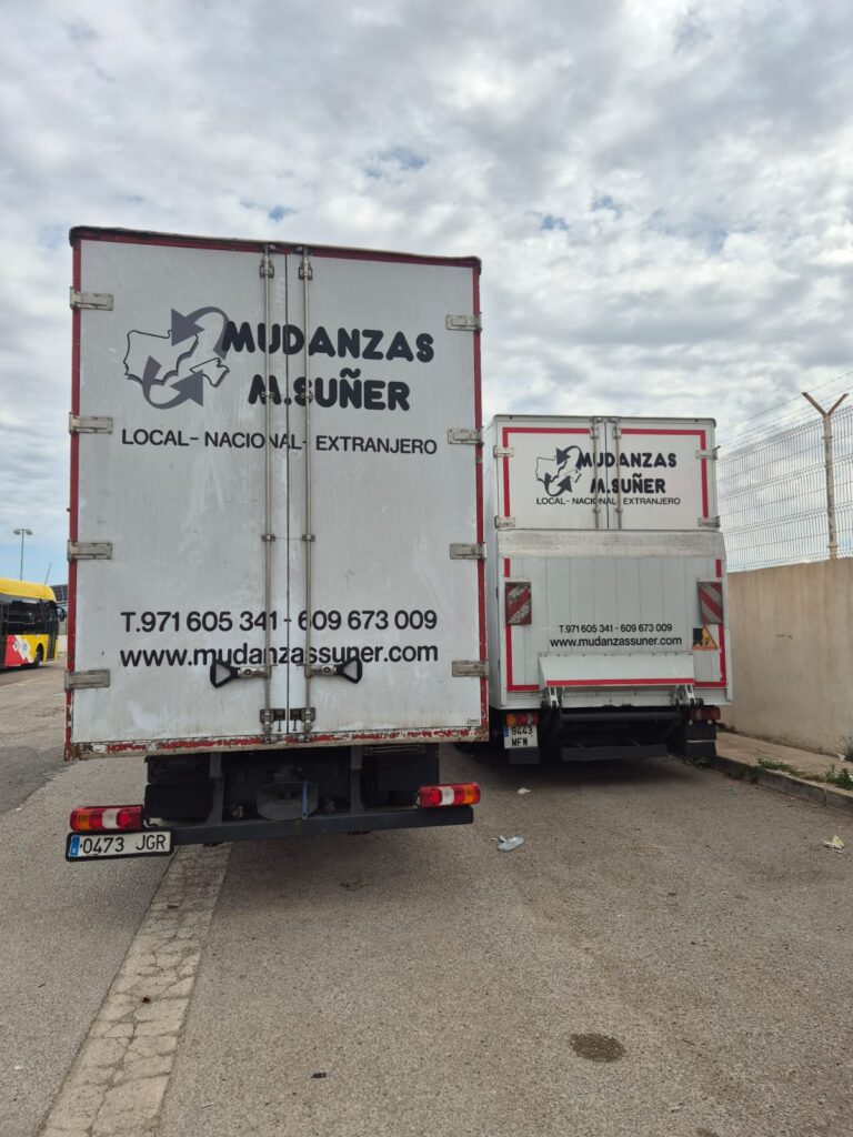 Camiones-mudanzas suñer (6)