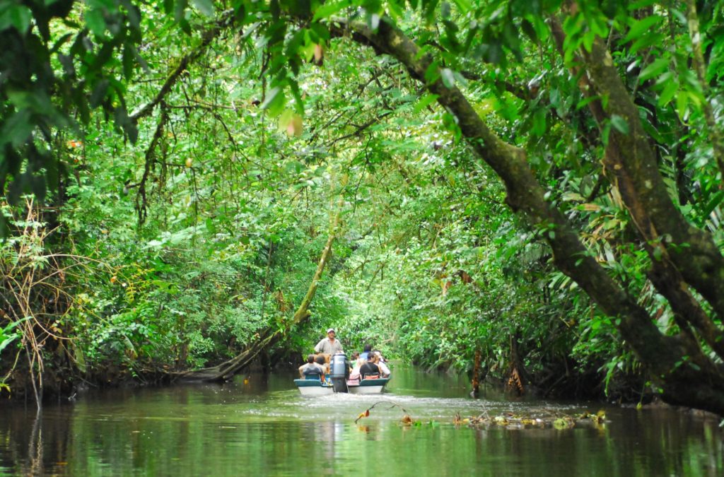 Parque Nacional Tortuguero Costa Rica_Planes con Duende
