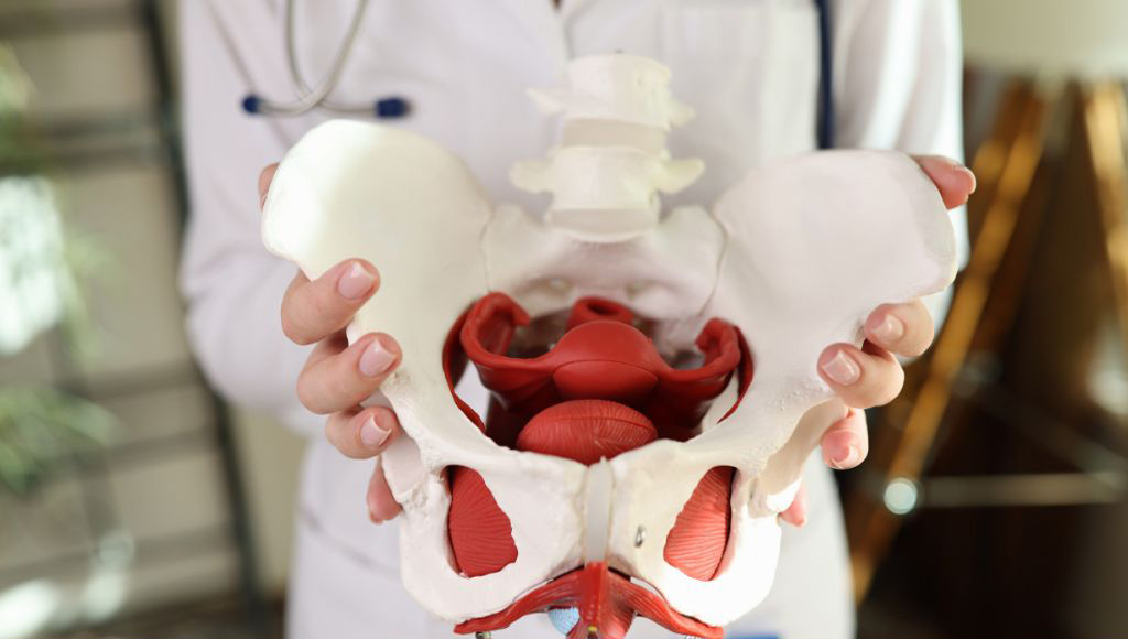 Dra. Isabel Bermudez Pestonit