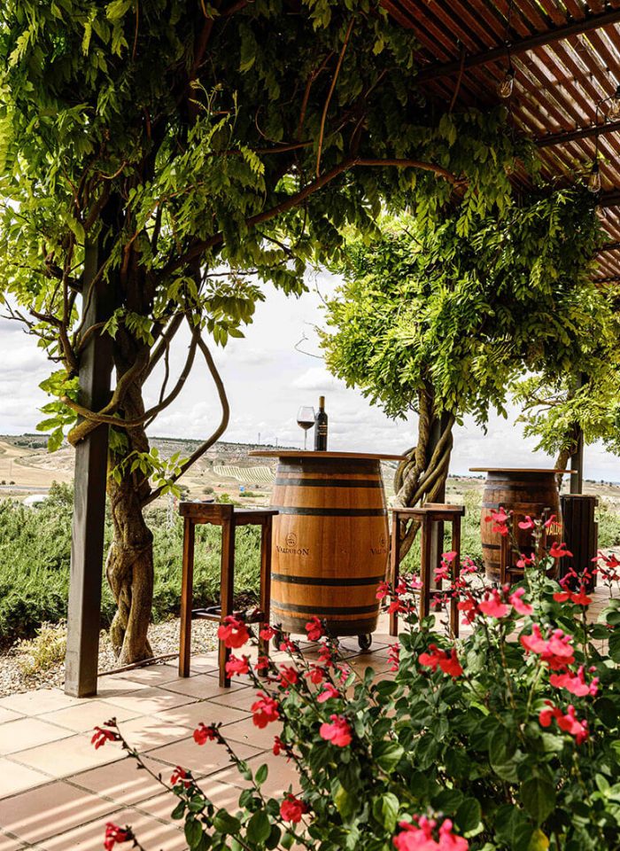 BODEGAS_VALDUBON1 NDAStudio_INTERIORISMO_BODEGAS
