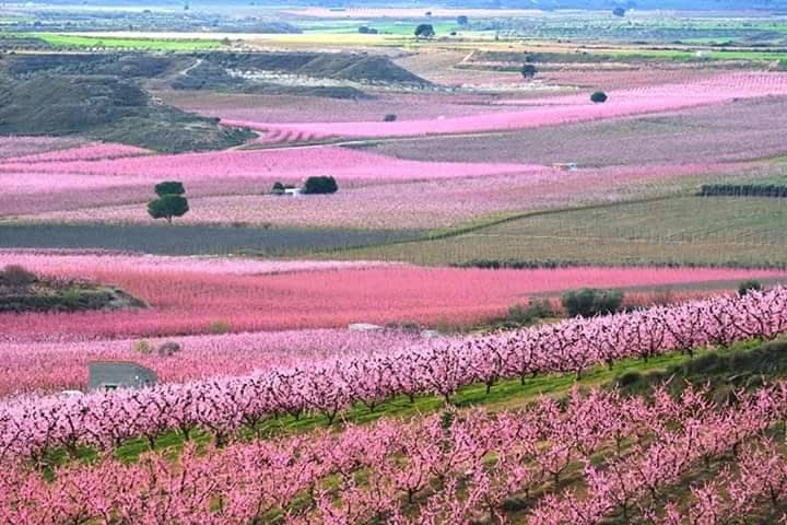 excursiones La Garbinada