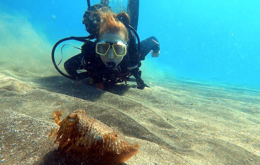 Buceo-choco