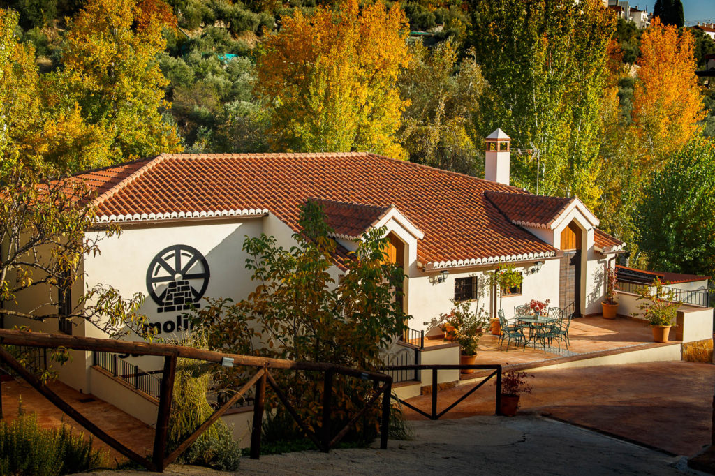 Molino San Acacio