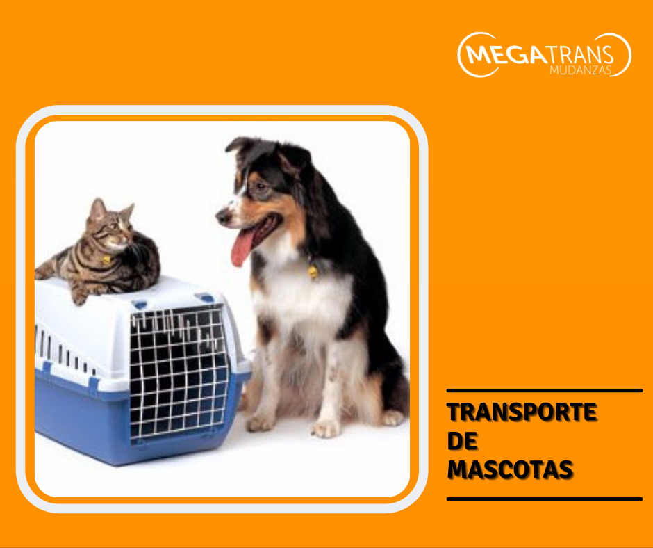 mudanzas de mascotas_megatransmudanzas