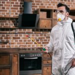 Jgm Sanidad Ambiental