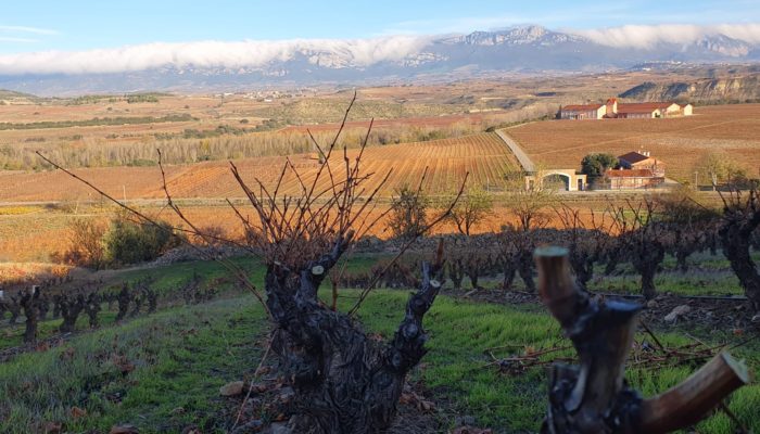 61517dcf-60b4-4732-9cf7-cde7ad63e316