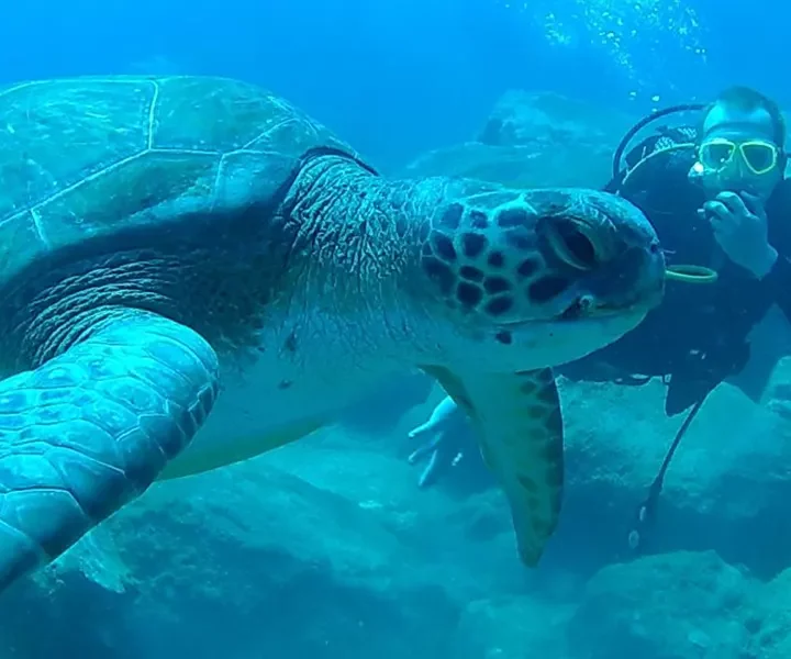 Holiday Tours Tenerife