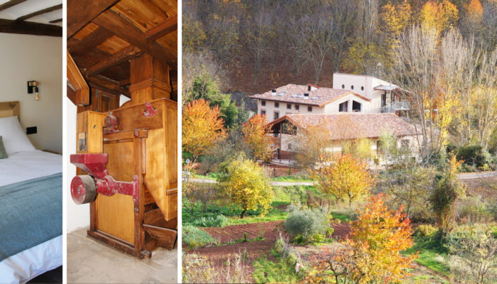 baner-principa-general