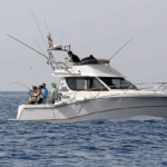 Pesca Deportiva y Paseo The Tattoo Fisher