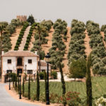 Finca Oro Al-Andalus